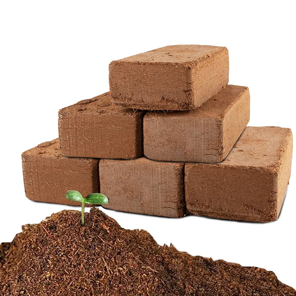 Cocofit repurposes coconut husks into coco peat, eco-bricks, and grow bags—building a circular economy